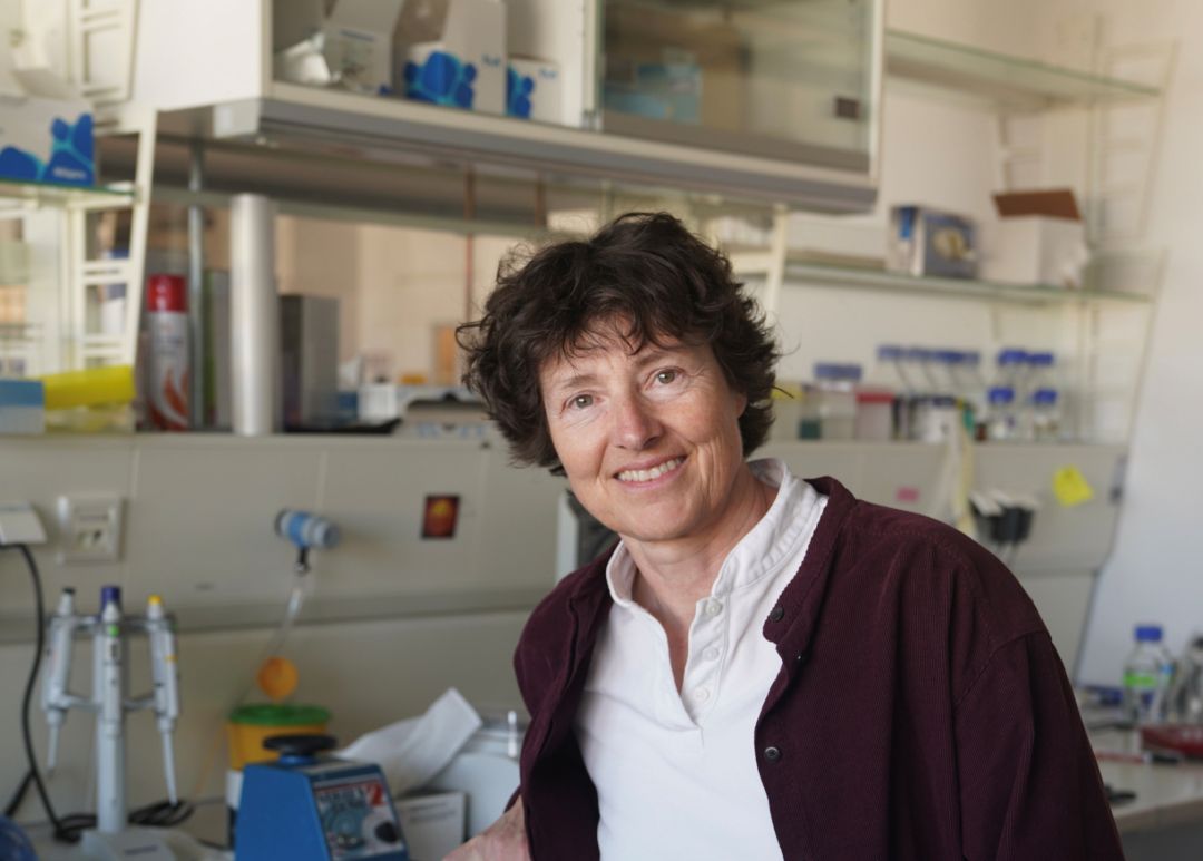 Prof. Dr. Petra Schwille